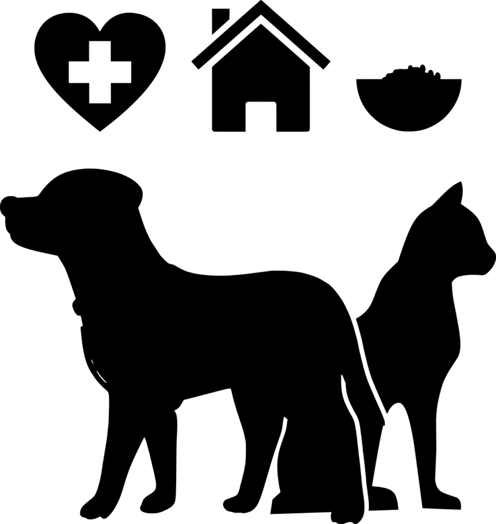 Pet Insurance 