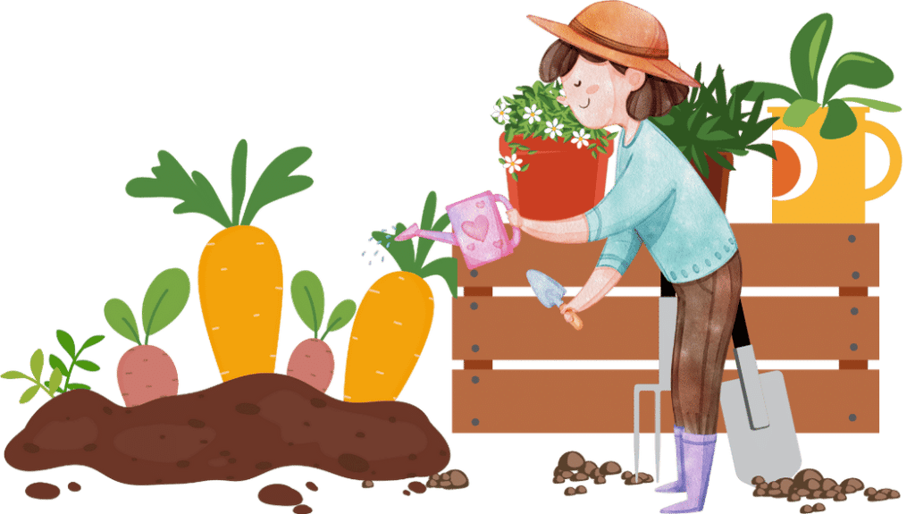 an illustration of consider growing conditions for Choose the Perfect Seeds for Your Vegetable Garden