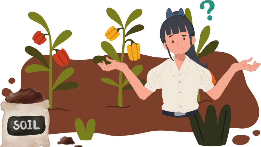 An illustration of a person questioning How to Prepare Your Soil for Vegetable Garden