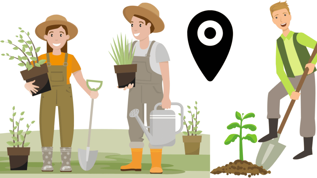 An illustration showing mens are selecting  a location to start a vegetable garden.